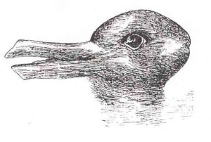 Figure 1. The duck-rabbit (image in the public domain; originally printed in the 1896 Popular Science Monthly).